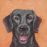 "Black Lab, Original Acrylic Painting" - Original Painting in multicolorassorted-colors by Carol C. Young