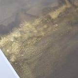 "Gold Boreal Forest" - Original Painting in brown by Renee Anne Bouffard-McManus