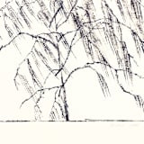 "Willow 2" - Original Painting in black by Dana Williamowsky