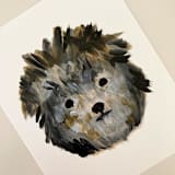 "Black Pumi" - Original Painting in black by Amy Mullen