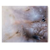 "Flowing Through My Veins" - Original Painting in pink by Christa