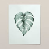"Monstera leaf watercolor painting" - Original Painting in green by Angele Kamp