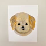 "Mini Golden Retriever" - Original Painting in yellow by Amy Mullen