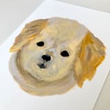 "Mini Golden Retriever" - Original Painting in yellow by Amy Mullen