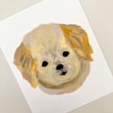 "Mini Golden Retriever" - Original Painting in yellow by Amy Mullen