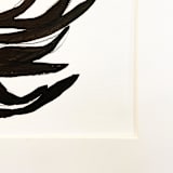 "Sprig" - Original Painting in black by Teju Reval