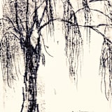 "Willow 3" - Original Painting in black by Dana Williamowsky