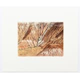 "New Mexico Landscape 3" - Original Painting in multicolorassorted-colors by Dana Williamowsky
