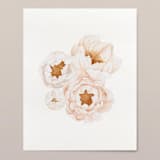 "Peonies in bloom watercolor painting" - Original Painting in pink by Angele Kamp