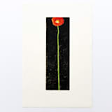 "Poppy Painting" - Original Painting in multicolorassorted-colors by Dana Williamowsky