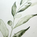 "Olive Branch 02" - Original Painting in green by Angele Kamp