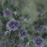 "Violets" - Original Painting in green by Kate Nelson