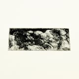 "Etching 2" - Original Painting in black by Dana Williamowsky