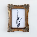 "Ink Botanical I" - Original Painting in black by Teju Reval