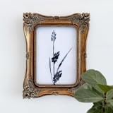 "Ink Botanical I" - Original Painting in black by Teju Reval