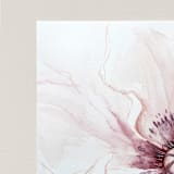 "Oriental Poppies watercolor painting 02" - Original Painting in purple by Angele Kamp