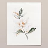 "Magnolia Grandiflora 01 original watercolor painting" - Original Painting in green by Angele Kamp