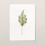 "Fallen Leaves 07" - Original Painting in green by Angele Kamp