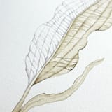 "Skeleton leaf" - Original Painting in green by Angele Kamp