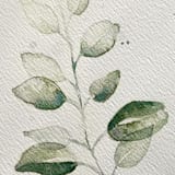 "Eucalyptus branch" - Original Painting in green by Angele Kamp