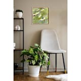 "Soft Breeze" - Original Painting in green by Jessalin Beutler