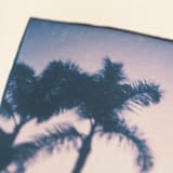 "Twilight Palms" - Original Painting in blue by Kamala Nahas