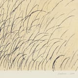 "Grasses Pastel" - Original Painting in multicolorassorted-colors by Dana Williamowsky