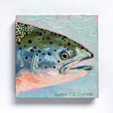 "Mini Trout Oil Painting" - Original Painting in multicolorassorted-colors by Holly Whitcomb