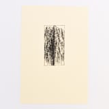 "Willow 5" - Original Painting in black by Dana Williamowsky