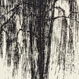 "Willow 5" - Original Painting in black by Dana Williamowsky
