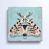 "Mini Moth Oil Painting" - Original Painting in multicolorassorted-colors by Holly Whitcomb