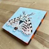 "Mini Moth Oil Painting" - Original Painting in multicolorassorted-colors by Holly Whitcomb
