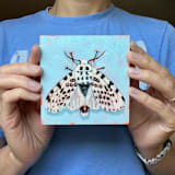 "Mini Moth Oil Painting" - Original Painting in multicolorassorted-colors by Holly Whitcomb