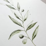 "Olive Branch 01" - Original Painting in green by Angele Kamp