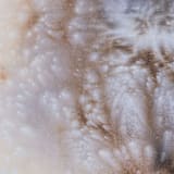 "Nebula 101" - Original Painting in pink by Christa