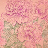 "Peonies" - Original Painting in pink by Janie Allen