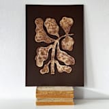 "Wild Botanical" - Original Painting in brown by Alisa Galitsyna