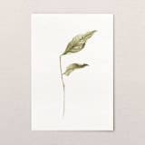"Fallen Leaves 06" - Original Painting in green by Angele Kamp