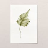 "Fallen Leaves 08" - Original Painting in green by Angele Kamp
