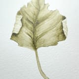 "Fallen Leaves 08" - Original Painting in green by Angele Kamp