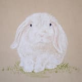 "Bunny Garden No. 1" - Original Painting in white by Janie Allen