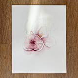 "Purple Figs Fruit 02" - Original Painting in purple by Angele Kamp