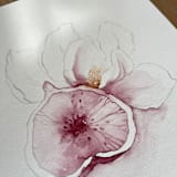 "Purple Figs Fruit 02" - Original Painting in purple by Angele Kamp