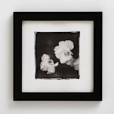 "la vie en rose I" - Original Mixed Media in black by Kamala Nahas