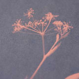 "Foraged II Original" - Original Mixed Media in blue by Kamala Nahas