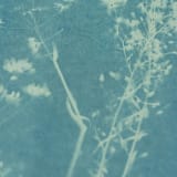 "Chaparral III Original" - Original Mixed Media in blue by Kamala Nahas