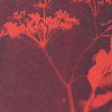 "Chaparral I Original" - Original Mixed Media in red by Kamala Nahas