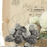 "New Biology" - Original Mixed Media in beige by Field and Sky