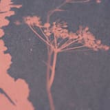 "Foraged I Original" - Original Mixed Media in blue by Kamala Nahas