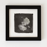 "la vie en rose III" - Original Mixed Media in black by Kamala Nahas